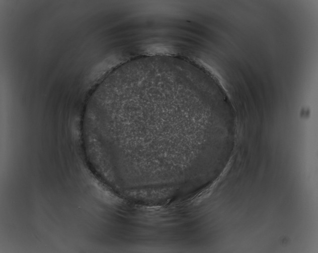 X0000092230353200710051223