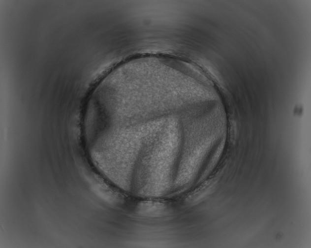 X0000092230354200710051223