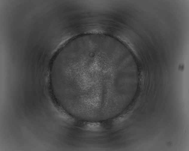 X0000092230355200710051223