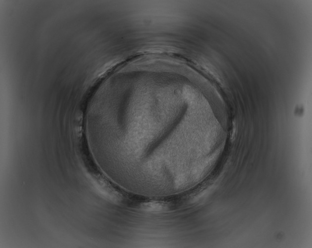 X0000092230356200710051223