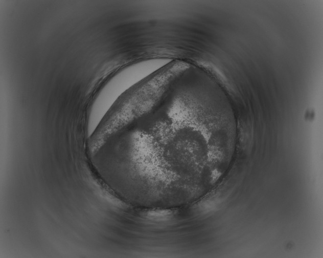 X0000092230357200710051223