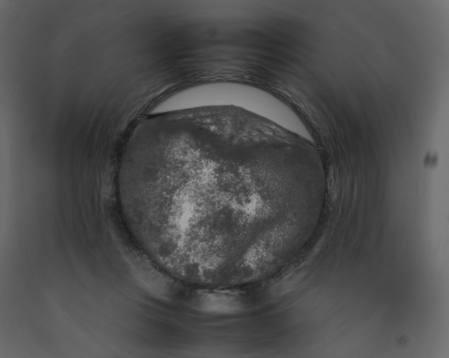 X0000092230359200710051223