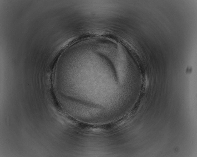 X0000092230360200710051223