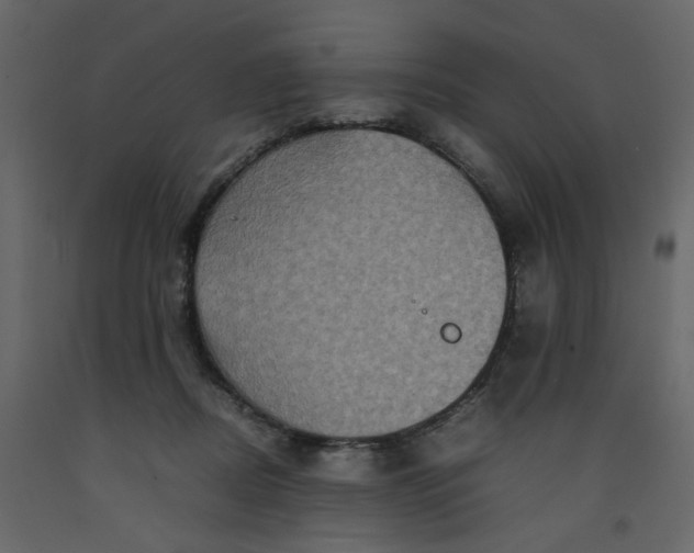 X0000092230362200710051223