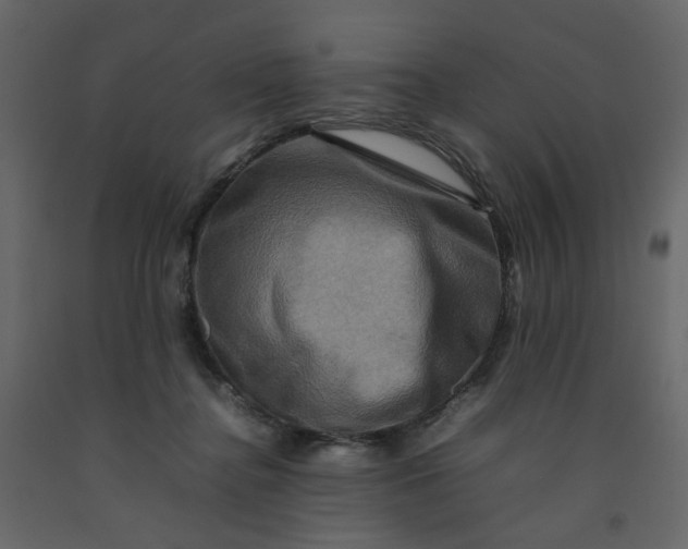 X0000092230364200710051223