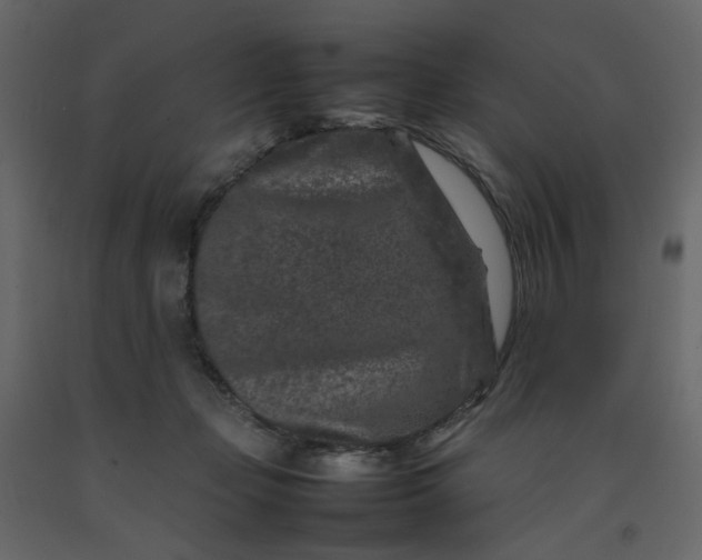 X0000092230365200710051223