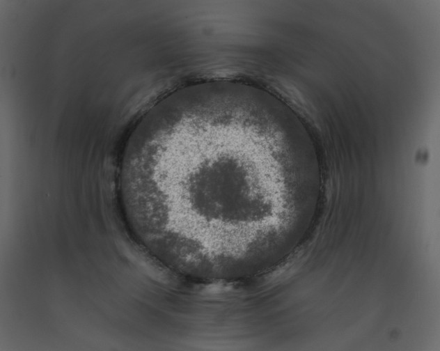 X0000092230366200710051223