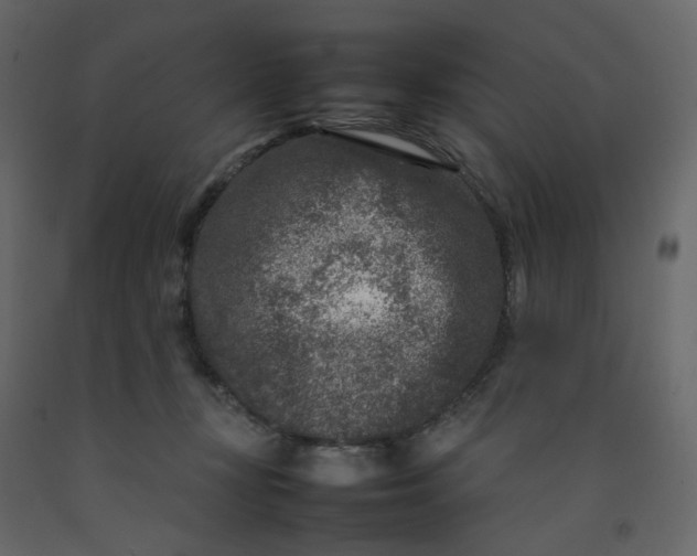 X0000092230367200710051223