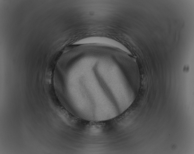 X0000092230368200710051223