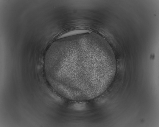 X0000092230369200710051223