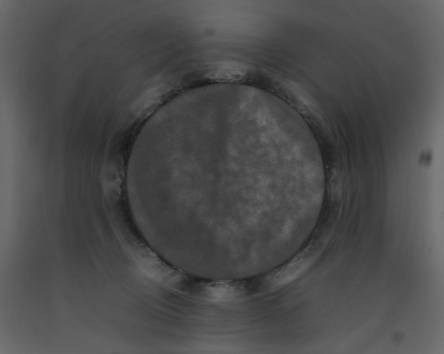 X0000092230370200710051223