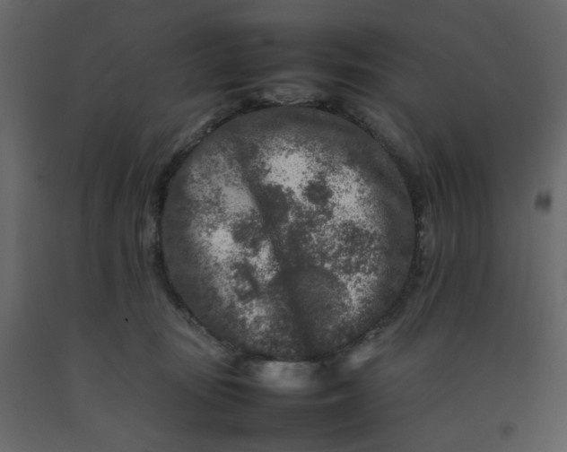 X0000092230371200710051223