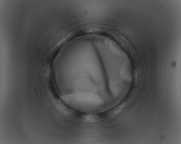 X0000092230372200710051223