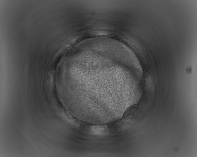 X0000092230373200710051223