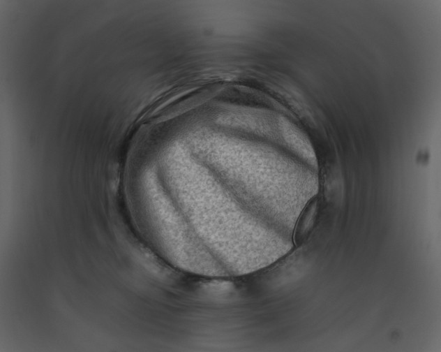 X0000092230374200710051223