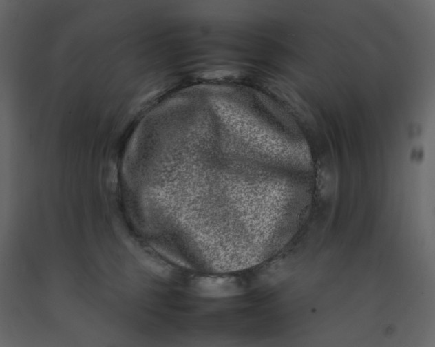 X0000092230375200710051223