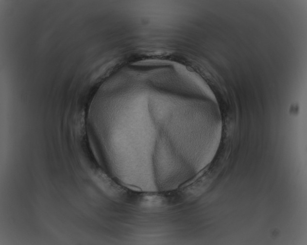 X0000092230376200710051223