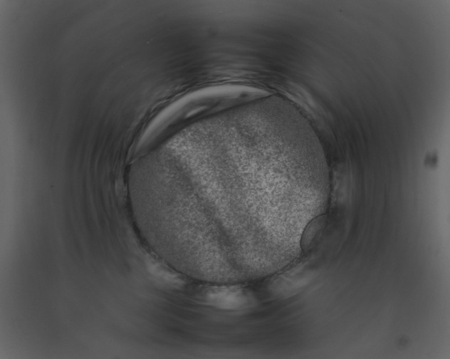 X0000092230377200710051223