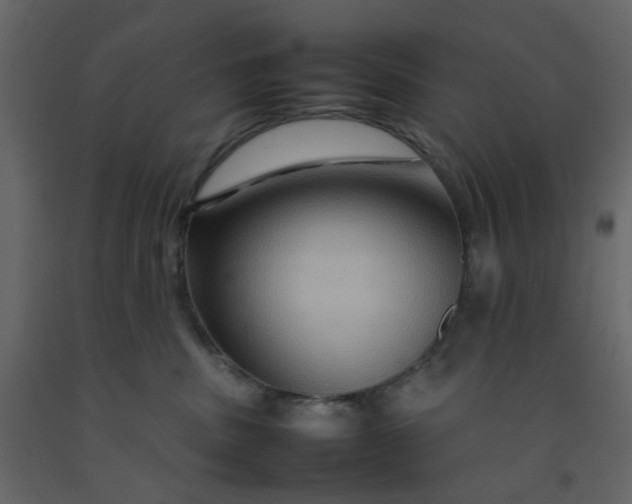 X0000092230379200710051223