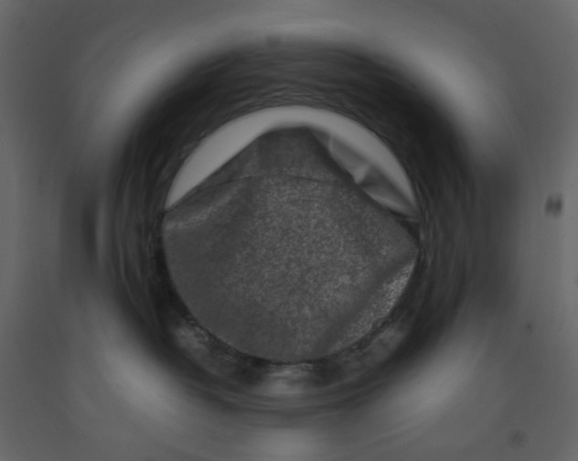 X0000092230382200710051223