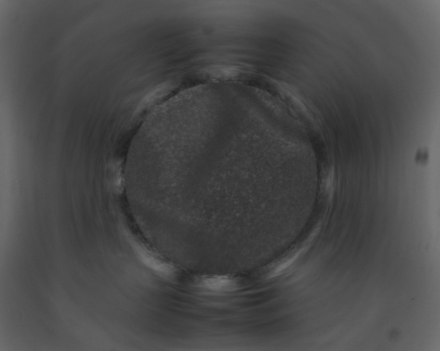 X0000092230383200710051223