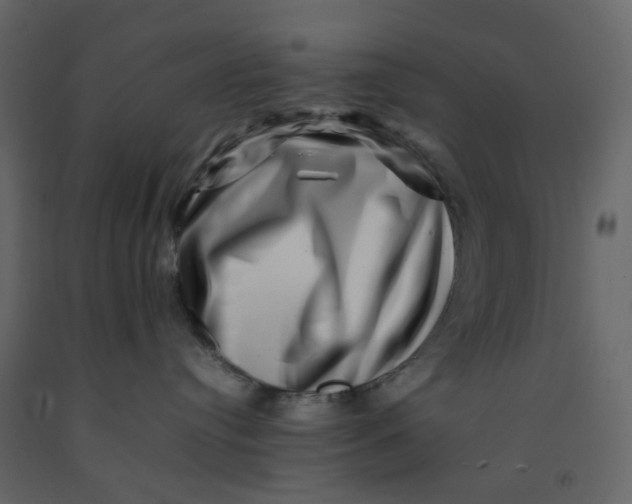 X0000092230384200710051223