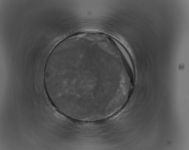 X0000092230385200710051223