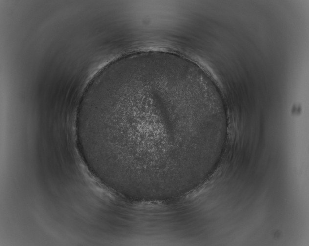 X0000092230386200710051223