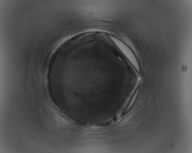 X0000092230387200710051223