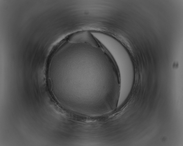 X0000092230388200710051223