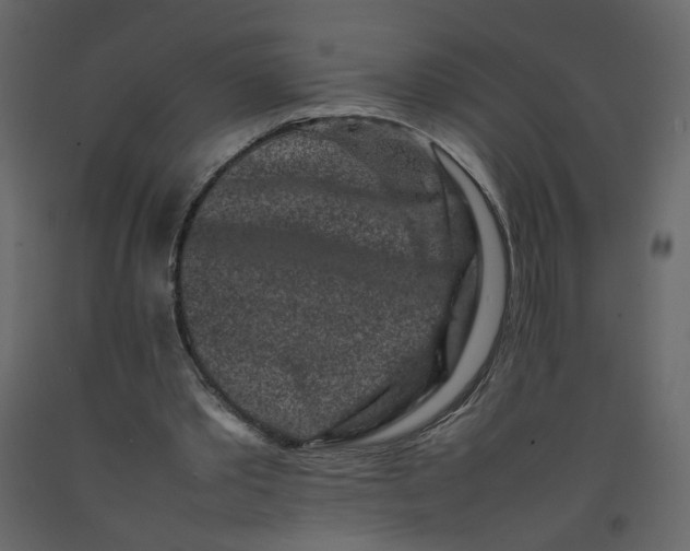 X0000092230389200710051223