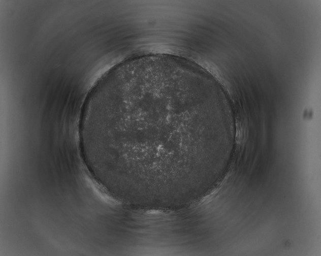 X0000092230390200710051223