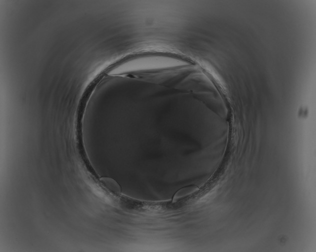 X0000092230391200710051223