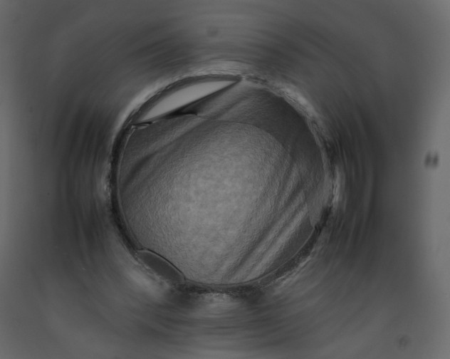 X0000092230392200710051223