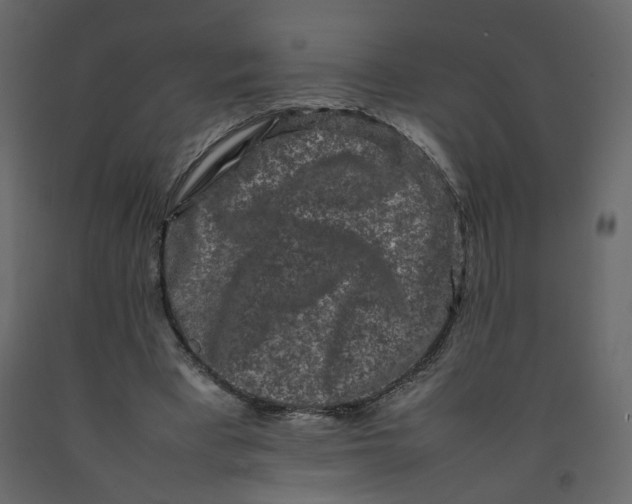 X0000092230393200710051223