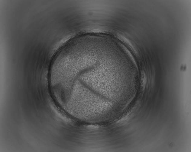 X0000092230394200710051223