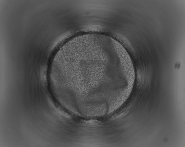 X0000092230396200710051223