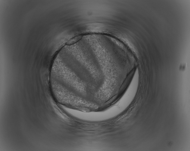 X0000092230397200710051223