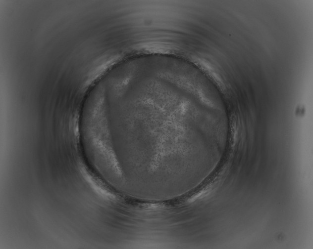 X0000092230398200710051223