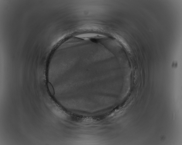 X0000092230399200710051223