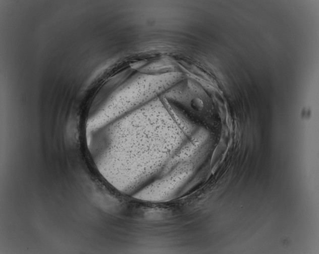 X0000092230400200710051223