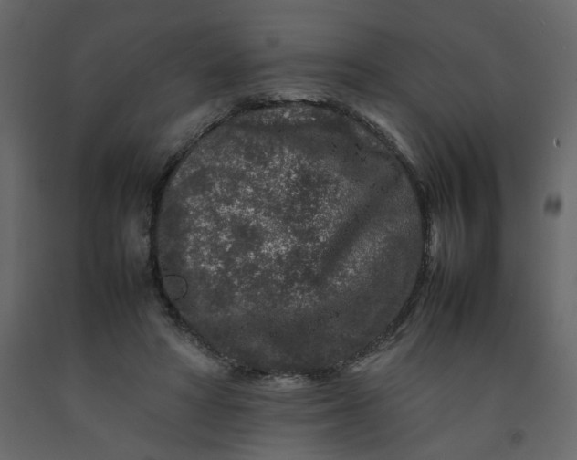 X0000092230402200710051222