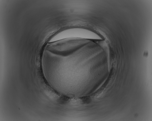 X0000092230403200710051222