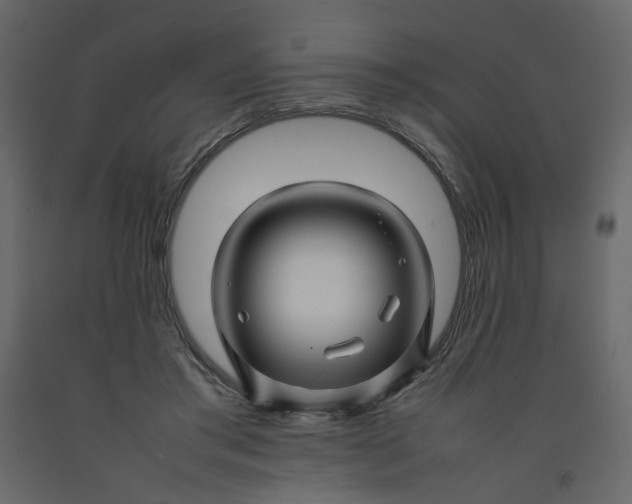 X0000092230405200710051222