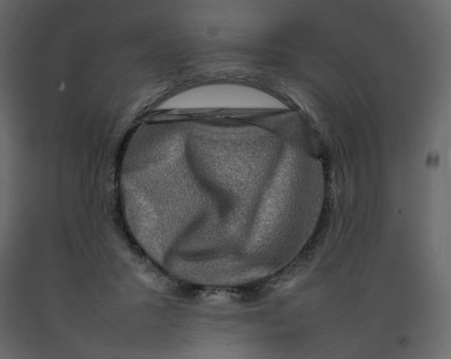 X0000092230407200710051222