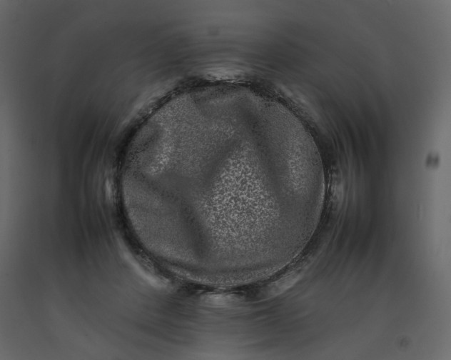 X0000092230408200710051222