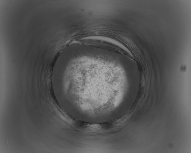 X0000092230409200710051222