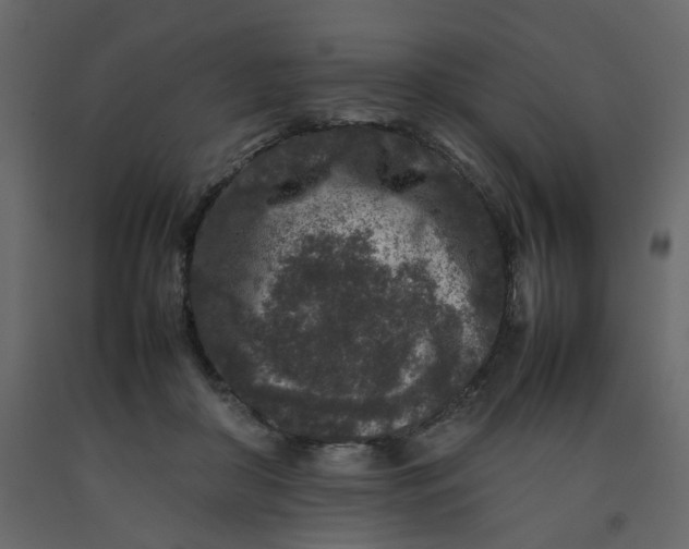 X0000092230410200710051222