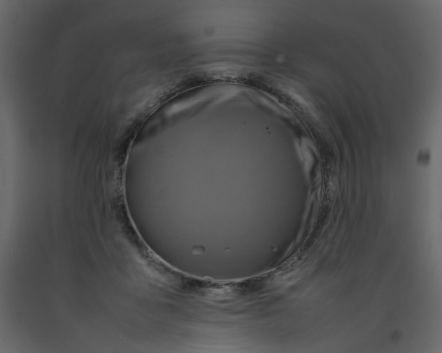 X0000092230411200710051222