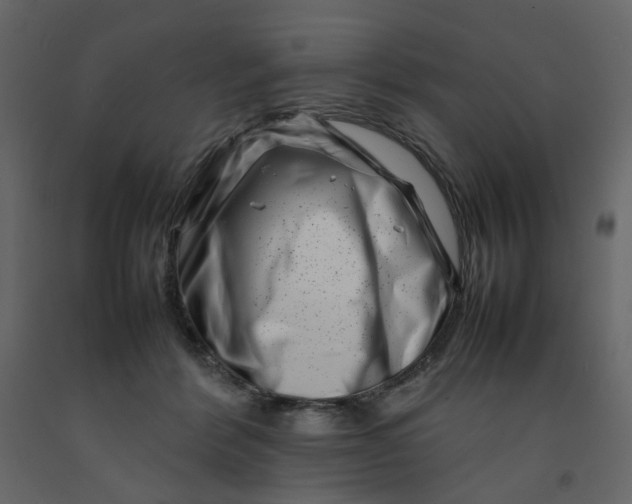 X0000092230412200710051222